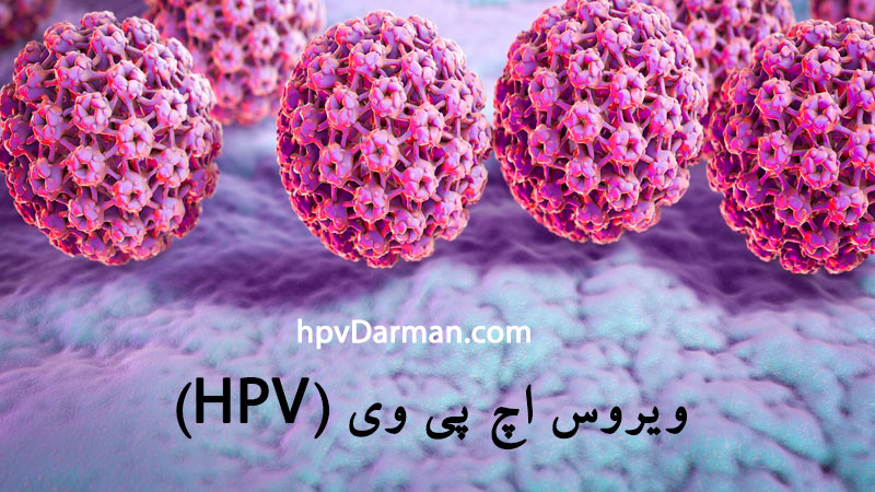 تصویر ویروس HPV اچ پی وی