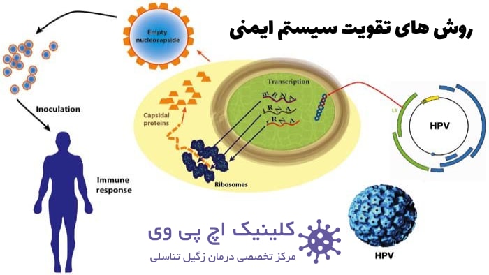 قرص تقویت سیستم ایمنی بدن در برابر زگیل تناسلی