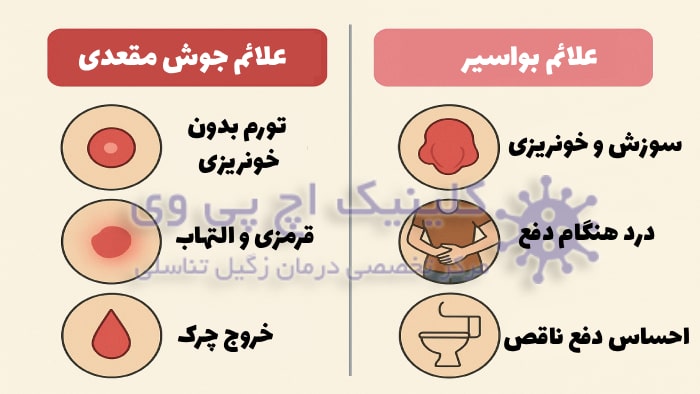 تفاوت جوش مقعدی و بواسیر در علائم