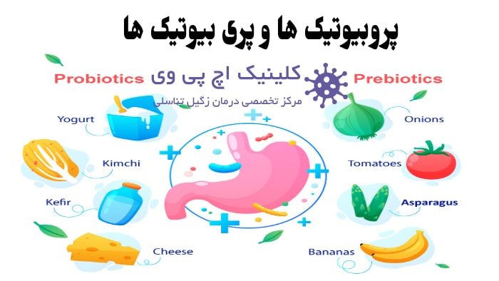 عکس تفاوت پروبیوتیک ها و پری بیوتیک ها چیست